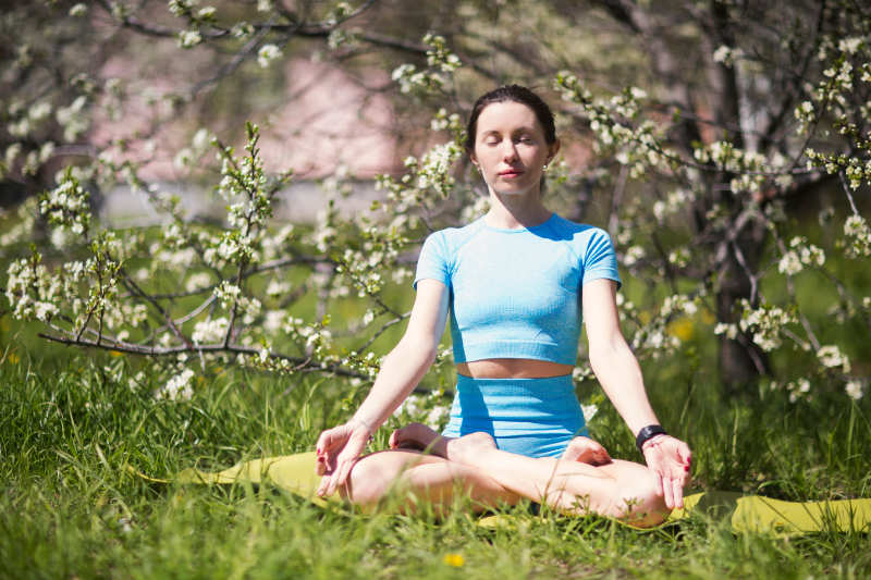 holistic therapy at my holistic therapy Encino